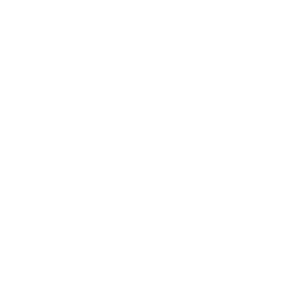 DIRT