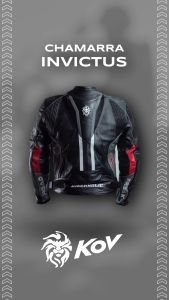 STORY INDUMENTARIA INVICTUS 0 00 12 34