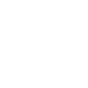 TERRA