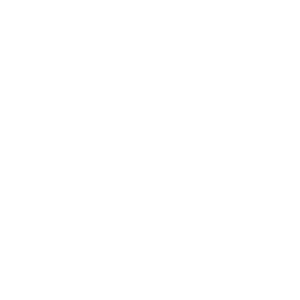 LOGO FLOW