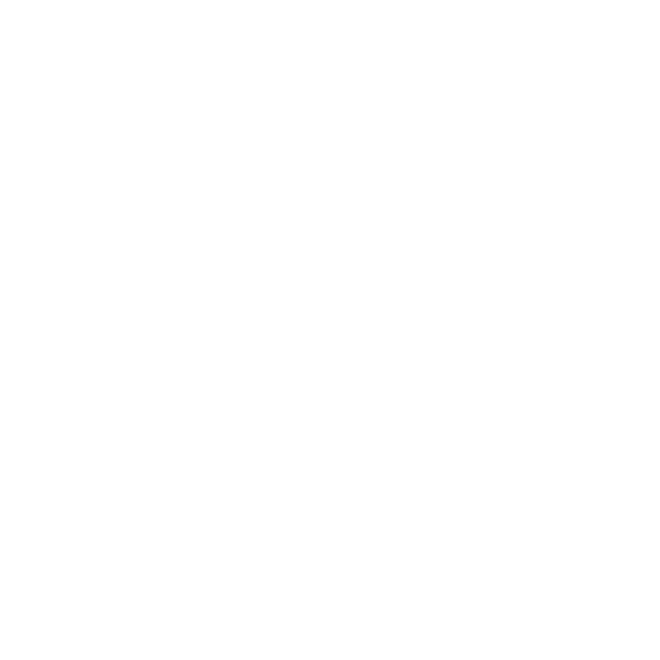 LOGO SNOW